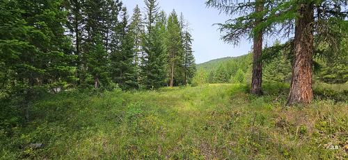 Dl164S Kettle River Road, Rock Creek, BC 