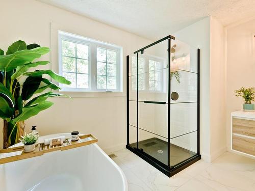 Bathroom - 8148 Ch. De St-Élie, Sherbrooke (Brompton/Rock Forest/Saint-Élie/Deauville), QC - Indoor Photo Showing Other Room