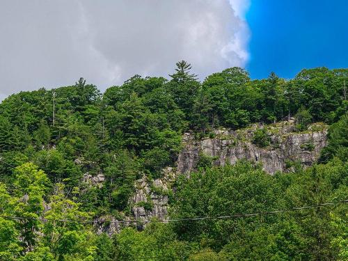 View - Ch. De La Falaise, Piedmont, QC 