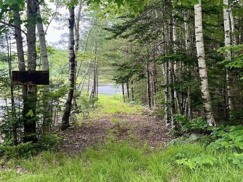 Lot 49 Turner Point Drive, Walden, NS 