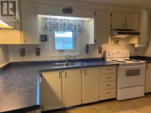 29 Circle Drive, Kawartha Lakes, ON - Indoor Photo Showing Kitchen With Double Sink