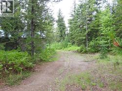 9700 6 Highway  Edgewood, BC V0G 1J0