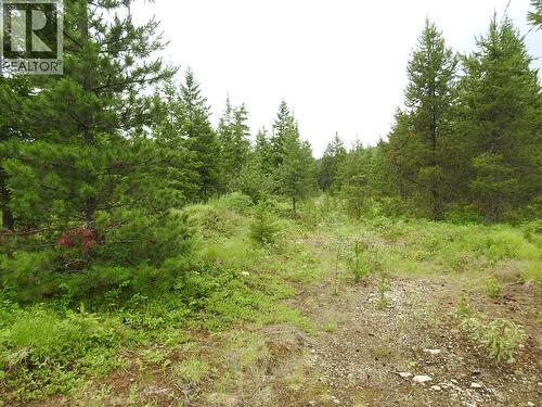 9700 6 Highway, Edgewood, BC 