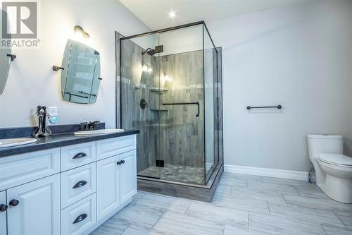 19 Woodbridge Lane, Torbay, NL - Indoor Photo Showing Bathroom