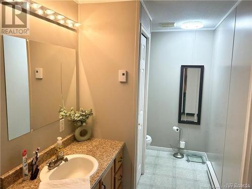 747 Eel River Road, Baie-Sainte-Anne, NB - Indoor Photo Showing Bathroom