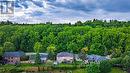 44 Jenny Court, Hamilton (Stoney Creek), ON  - Outdoor With View 