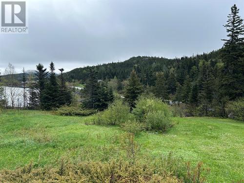 0 Route 352 Highway, Fortune Harbour, NL - Outdoor With View