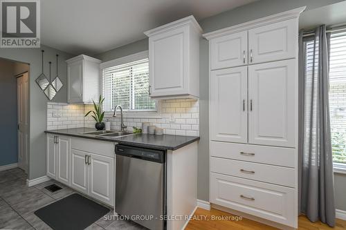 Pantry Wall and tiled backsplash. - 73 Cantley Crescent, London, ON - Indoor Photo Showing Kitchen With Double Sink