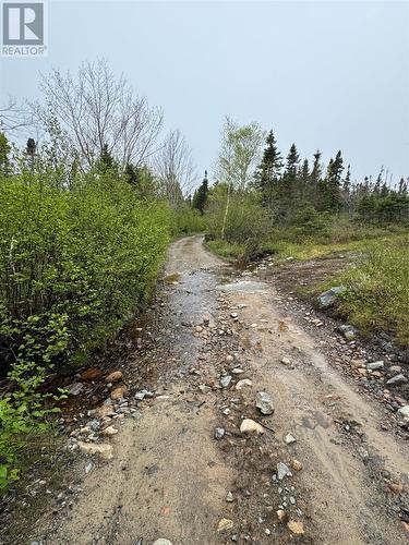 3 Goobies Road, Culls Harbour, NL - Outdoor With View