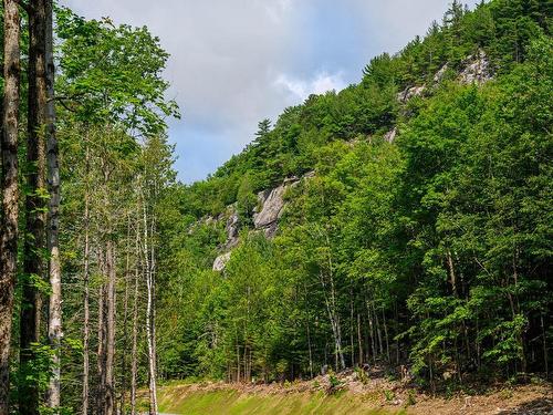 Vue - Ch. De La Falaise, Piedmont, QC 