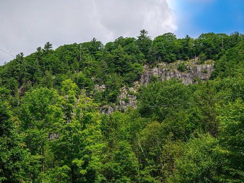 Vue - Ch. De La Falaise, Piedmont, QC 