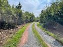 Lot A Island Road, Malagash, NS 