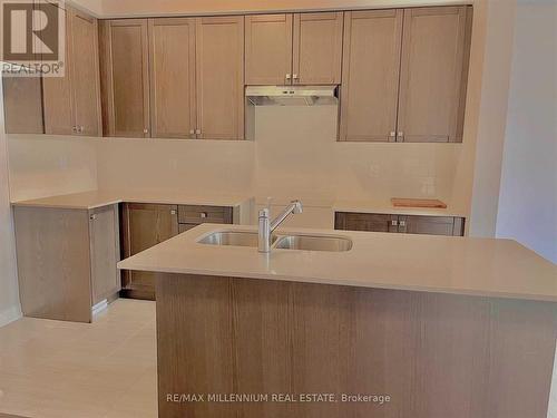 64 Fairey Crescent, Hamilton, ON - Indoor Photo Showing Kitchen With Double Sink