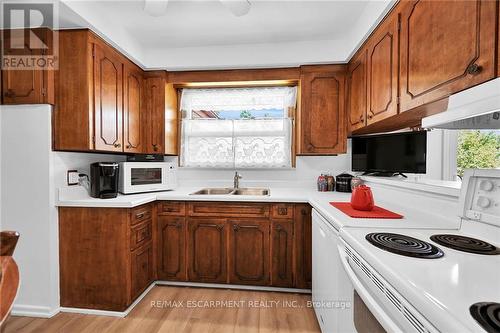 83 Gailmont Drive, Hamilton, ON - Indoor Photo Showing Kitchen With Double Sink