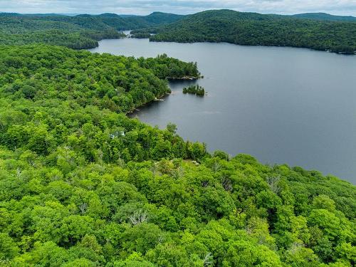 Vue d'ensemble - 304 Ch. Du Lac-Grand, Val-Des-Monts, QC 