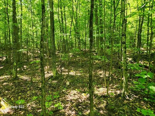 BoisÃ© - 304 Ch. Du Lac-Grand, Val-Des-Monts, QC 