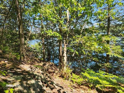 Vue sur l'eau - 304 Ch. Du Lac-Grand, Val-Des-Monts, QC 