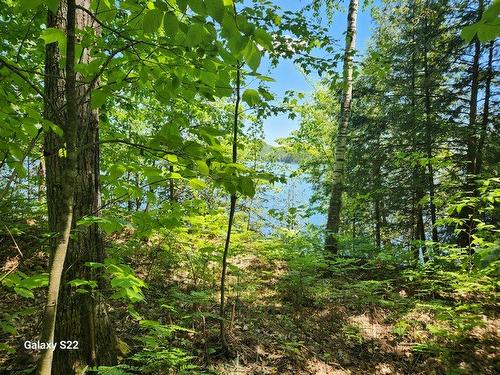 Water view - 304 Ch. Du Lac-Grand, Val-Des-Monts, QC 