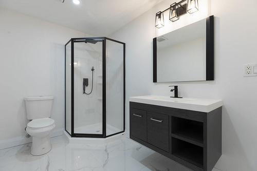 62 Amore Boulevard, Hamilton, ON - Indoor Photo Showing Bathroom
