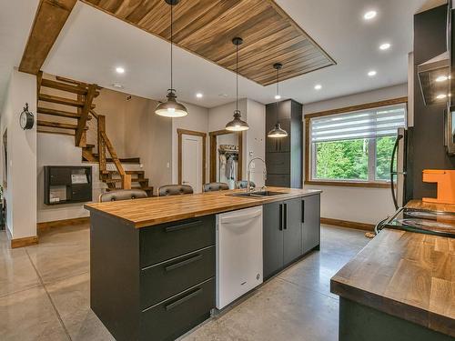 Kitchen - 180 Av. Nantel, Sainte-Agathe-Des-Monts, QC - Indoor Photo Showing Kitchen With Double Sink