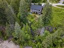 4238 Woodbury Village Road, Kaslo, BC  - Outdoor With View 