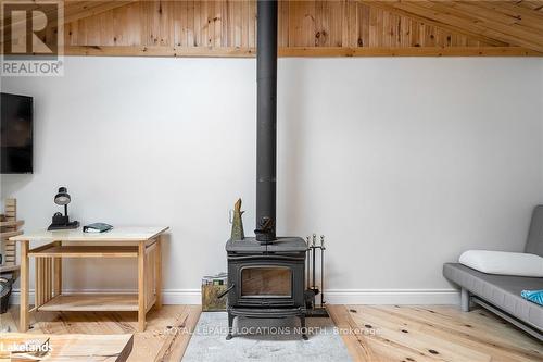 16 Theresa Street, Collingwood, ON - Indoor With Fireplace
