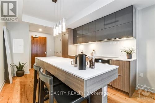 1407 - 101 Queen Street, Ottawa, ON - Indoor Photo Showing Kitchen