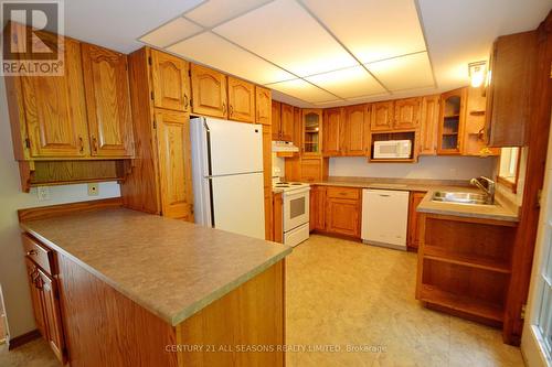 257 Hastings Street N, Bancroft, ON - Indoor Photo Showing Kitchen With Double Sink