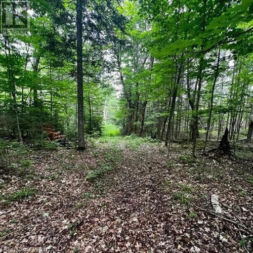 Lot 5 Maple Road, Bonfield, ON 