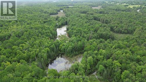 N/A County Road 46, Havelock-Belmont-Methuen, ON 