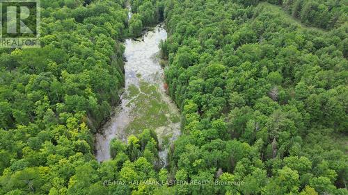 N/A County Road 46, Havelock-Belmont-Methuen, ON 