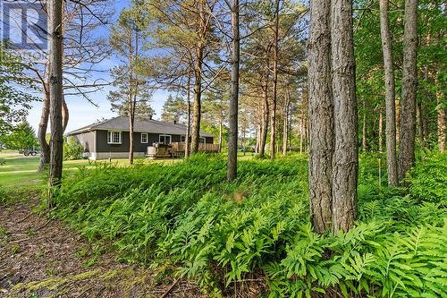 25 Pine Tree Drive, South Bruce Peninsula, ON - Outdoor