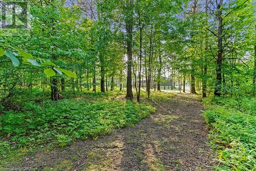 25 Pine Tree Drive, South Bruce Peninsula, ON - Outdoor