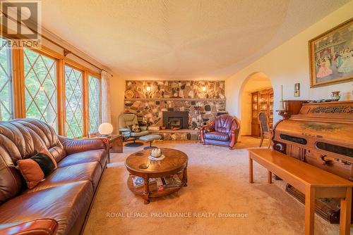 17100 Highway 41, Addington Highlands, ON - Indoor Photo Showing Living Room With Fireplace