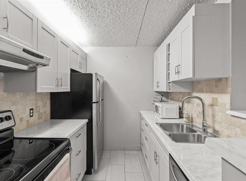 1006 77 Edmonton Street, Winnipeg, MB - Indoor Photo Showing Kitchen With Double Sink