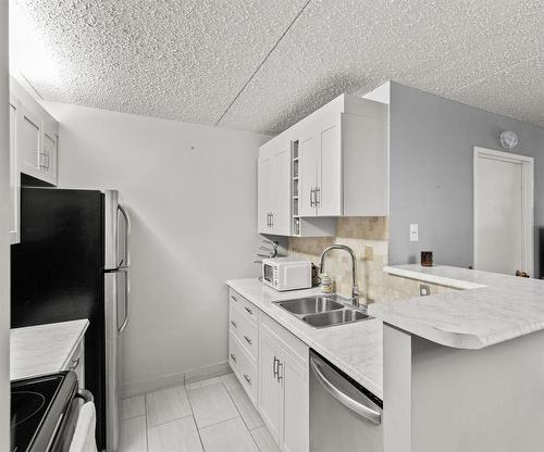 1006 77 Edmonton Street, Winnipeg, MB - Indoor Photo Showing Kitchen With Double Sink