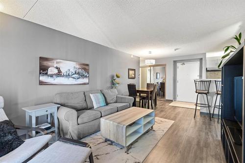 1006 77 Edmonton Street, Winnipeg, MB - Indoor Photo Showing Living Room