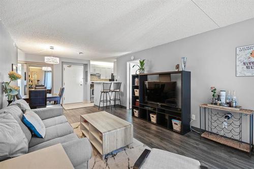 1006 77 Edmonton Street, Winnipeg, MB - Indoor Photo Showing Living Room