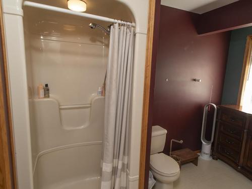 491 Harstone Drive, Kakabeka Falls, ON - Indoor Photo Showing Bathroom