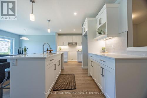 92 Empire Parkway, St. Thomas, ON - Indoor Photo Showing Kitchen With Upgraded Kitchen