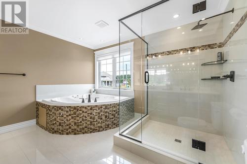 24 Atlantica Drive, Paradise, NL - Indoor Photo Showing Bathroom