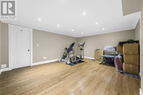 24 Atlantica Drive, Paradise, NL - Indoor Photo Showing Gym Room