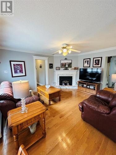 364 Main Street, Birchy Bay, NL - Indoor Photo Showing Living Room With Fireplace