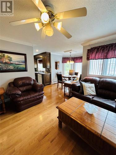 364 Main Street, Birchy Bay, NL - Indoor Photo Showing Living Room