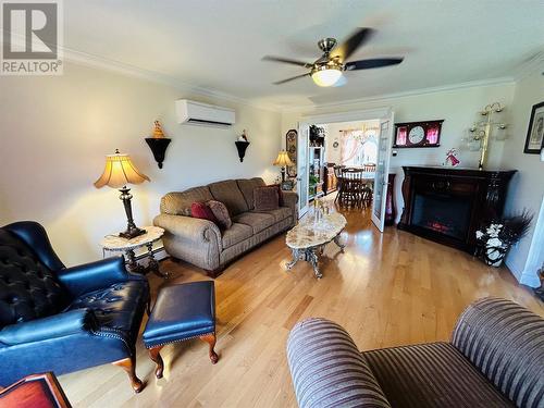 364 Main Street, Birchy Bay, NL - Indoor Photo Showing Living Room