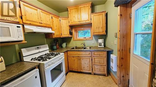 Galley style kitchen - 130 South Shore Road, Northern Bruce Peninsula, ON - Indoor Photo Showing Kitchen With Double Sink