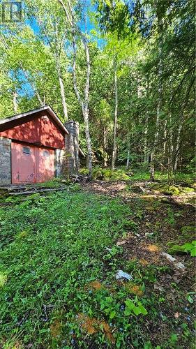 130 South Shore Road, Northern Bruce Peninsula, ON - Outdoor