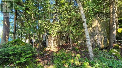 130 South Shore Road, Northern Bruce Peninsula, ON - Outdoor