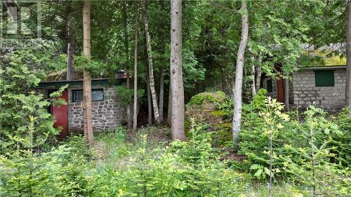 130 South Shore Road, Northern Bruce Peninsula, ON - Outdoor