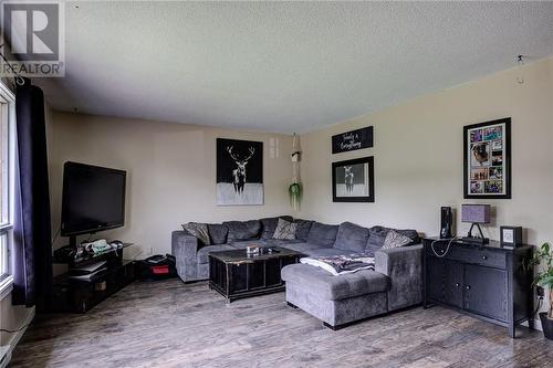 108-114 Bridge Street, Chelmsford, ON - Indoor Photo Showing Living Room